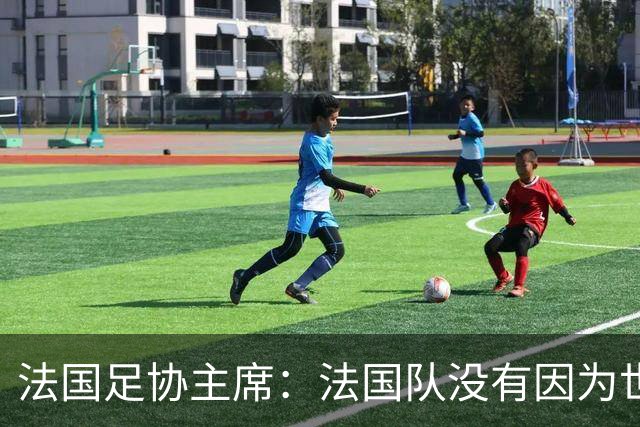 法国足协主席：法国队没有因为世界杯奖金问题而气氛紧张